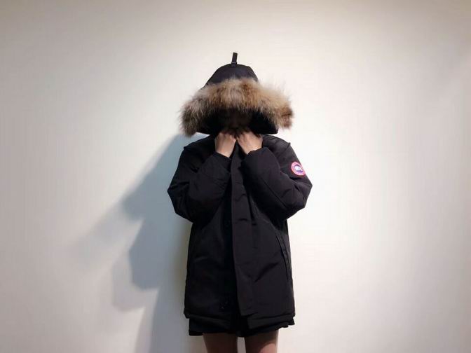 canada goose-004